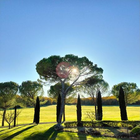 Fattoria Agriturismo Nerbona Казоле-д'Эльса Экстерьер фото