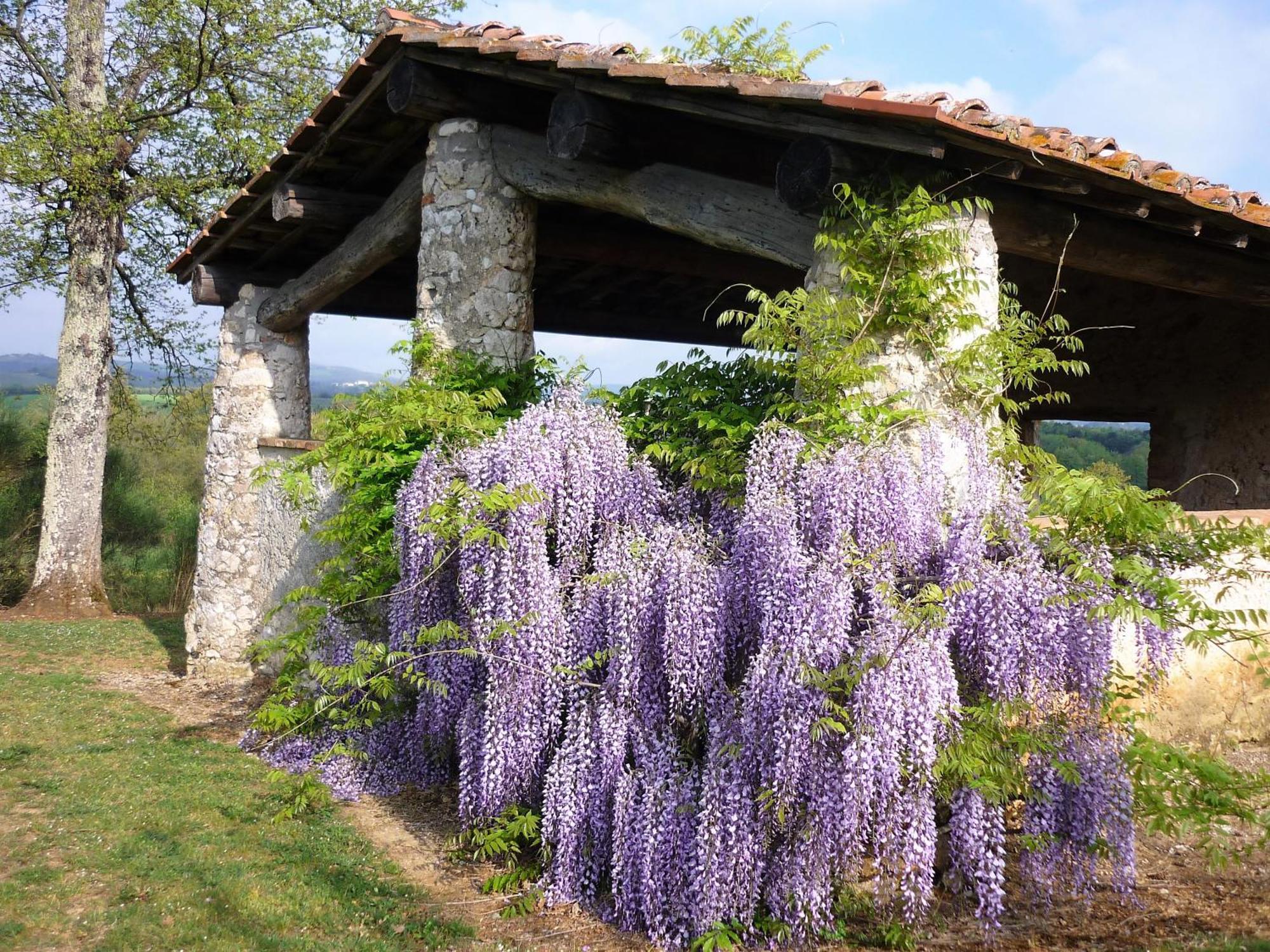 Fattoria Agriturismo Nerbona Казоле-д'Эльса Экстерьер фото