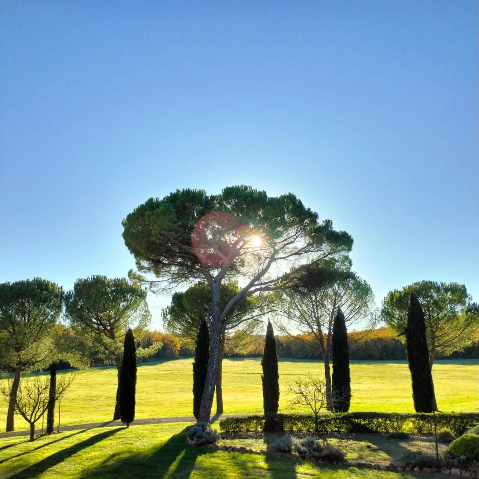 Fattoria Agriturismo Nerbona Казоле-д'Эльса Экстерьер фото